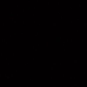 Meet your Posher, Christian